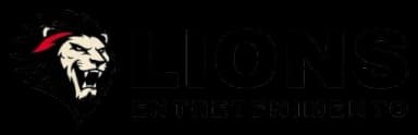 Ticket Site Logo